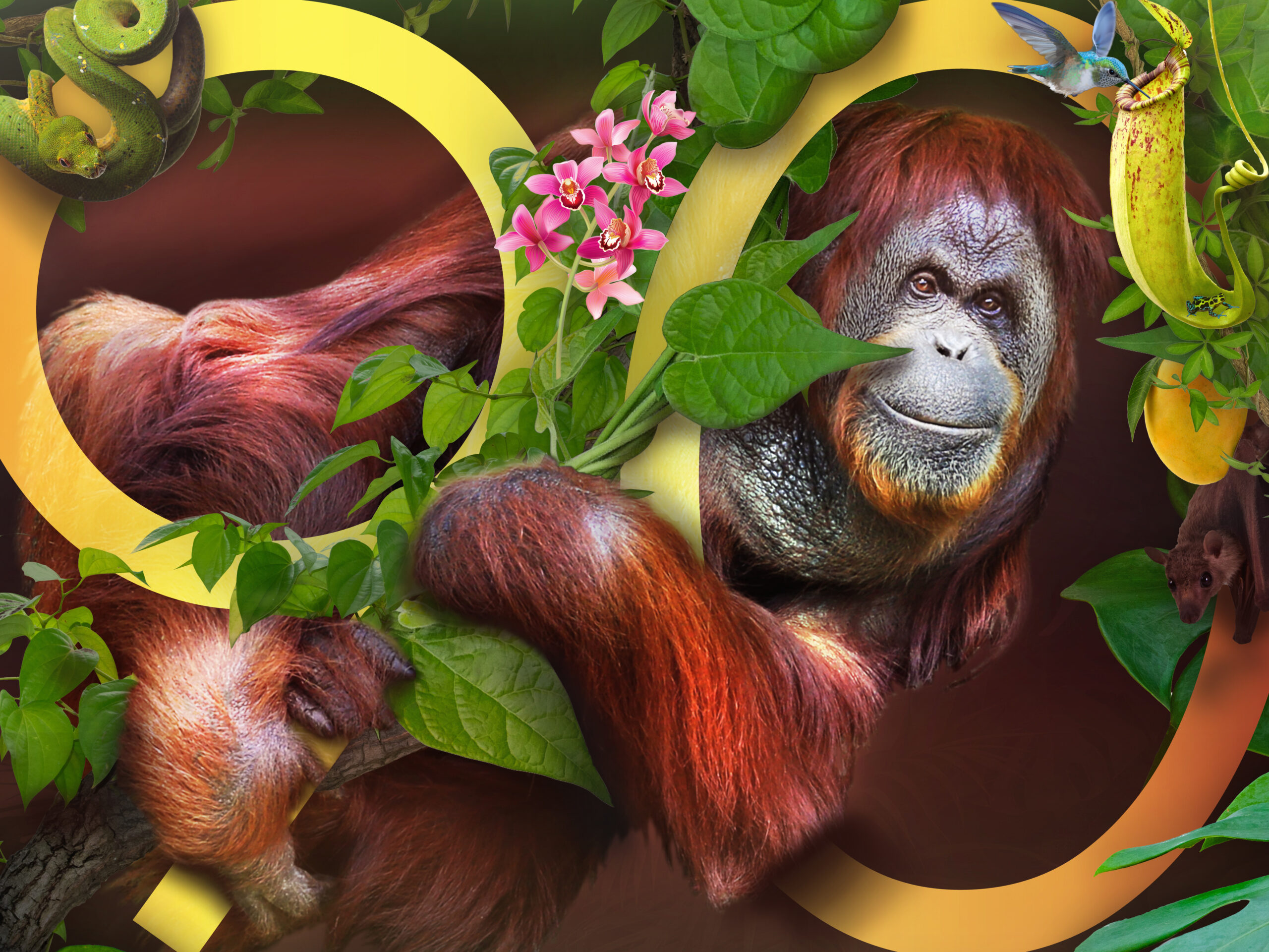 San Francisco Zoo 90th Anniversary campaign by Zane Michael Cooper, a San Francisco design studio
